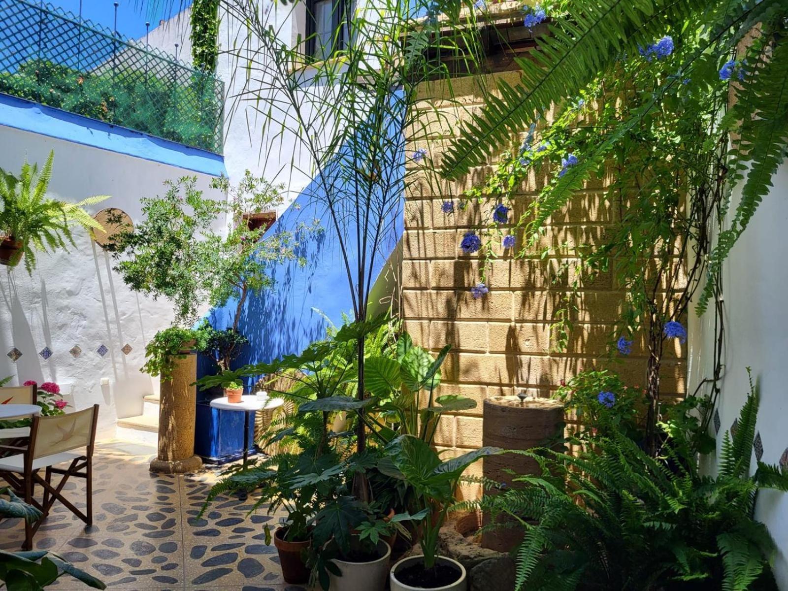 Hostal Casa Alborada Conil De La Frontera Ngoại thất bức ảnh