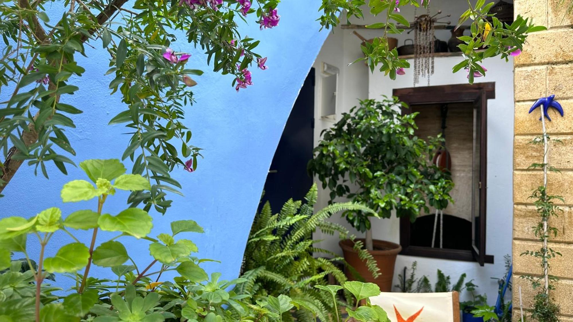 Hostal Casa Alborada Conil De La Frontera Ngoại thất bức ảnh